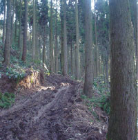 鹿児島圏域モデル地域