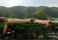 中予山岳モデル地域