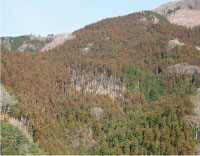 中予山岳モデル地域