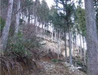 中予山岳モデル地域